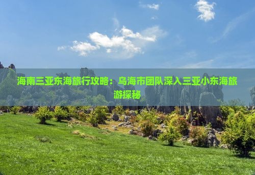 海南三亚东海旅行攻略：乌海市团队深入三亚小东海旅游探秘