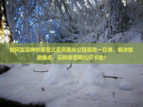 如何实现神农架至三亚凤凰岭公园高效一日游，解决旅途痛点，玩转新晋网红打卡地？
