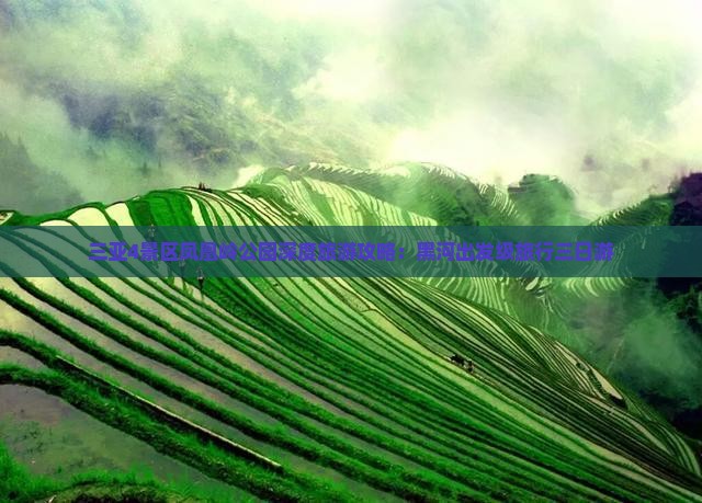三亚4景区凤凰岭公园深度旅游攻略：黑河出发级旅行三日游