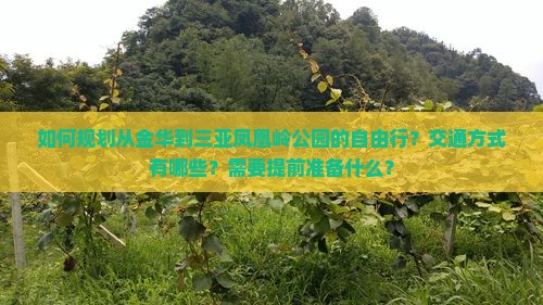 如何规划从金华到三亚凤凰岭公园的自由行？交通方式有哪些？需要提前准备什么？