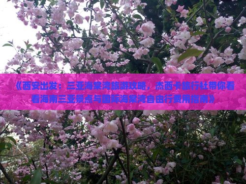 《西安出发：三亚海棠湾旅游攻略，杰西卡旅行社带你看看海南三亚景点与国际海棠湾自由行费用指南》