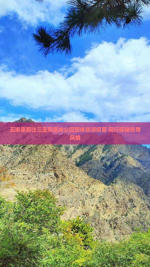 五家渠前往三亚凤凰岭公园团体旅游招募 同行探秘热带风情