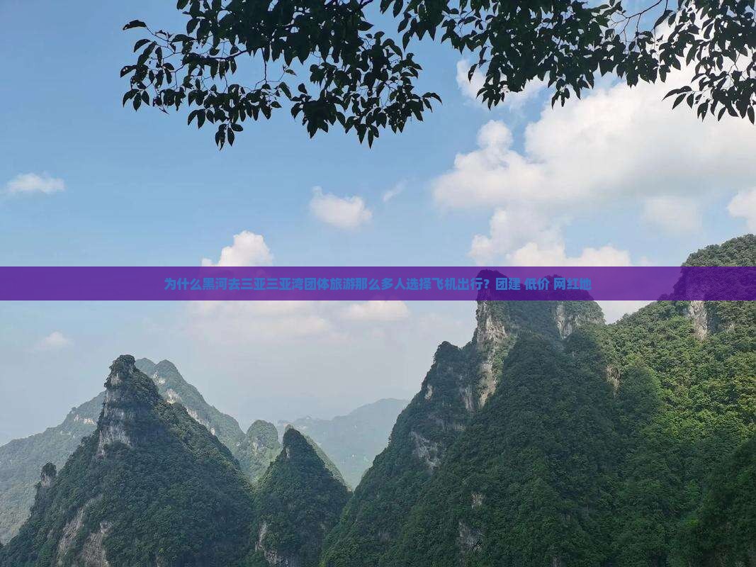 为什么黑河去三亚三亚湾团体旅游那么多人选择飞机出行？团建+低价+网红地