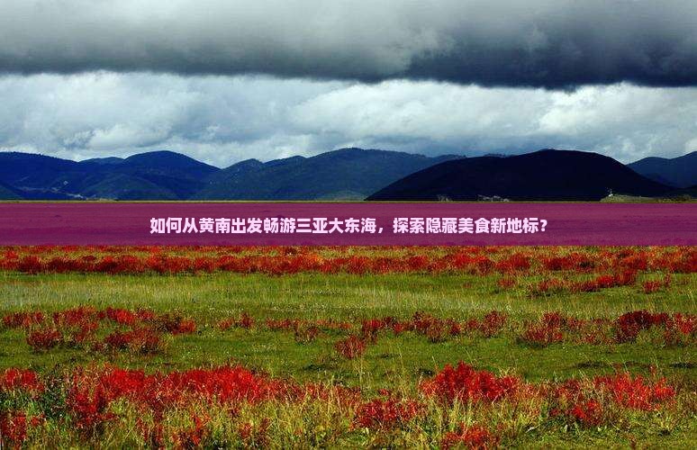 如何从黄南出发畅游三亚大东海，探索隐藏美食新地标？
