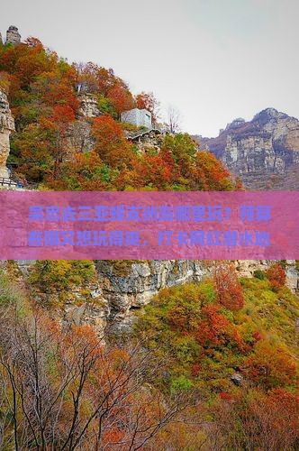 吴忠去三亚蜈支洲岛哪里玩？预算有限又想玩得爽，打卡网红潜水地