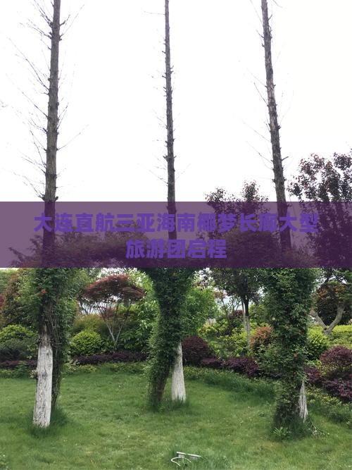 大连直航三亚海南椰梦长廊大型旅游团启程