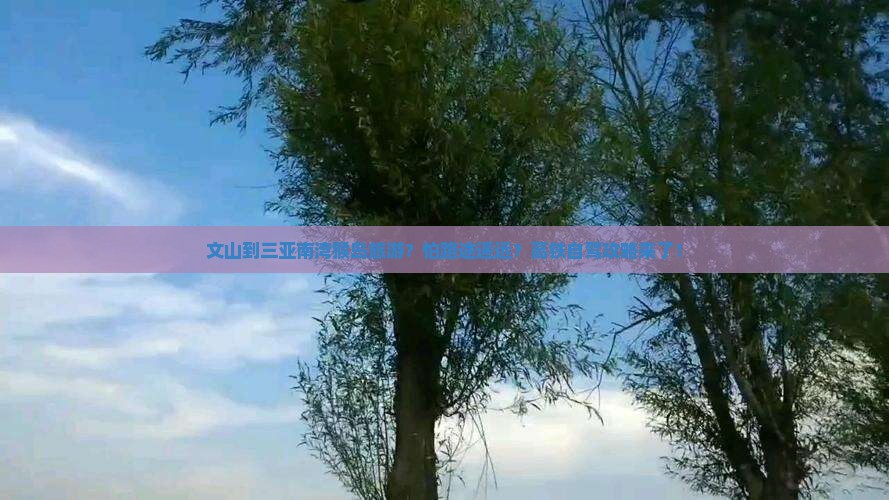 文山到三亚南湾猴岛旅游？怕路途遥远？高铁自驾攻略来了！