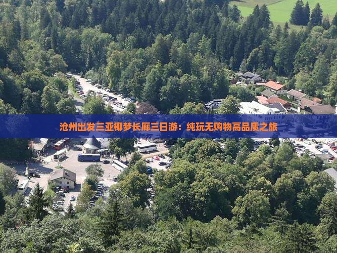 沧州出发三亚椰梦长廊三日游：纯玩无购物高品质之旅