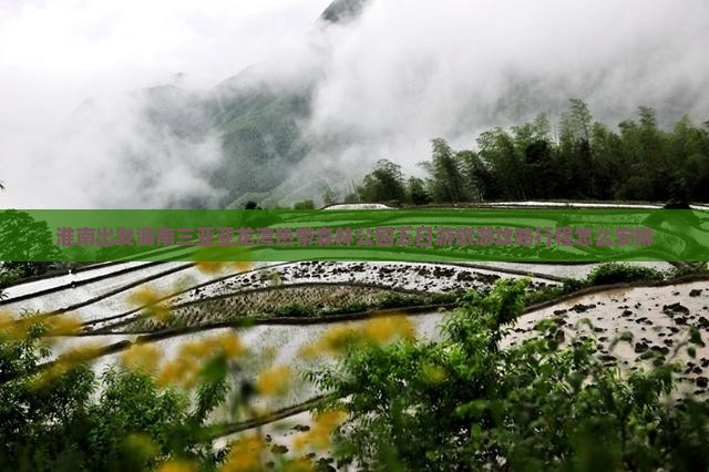 淮南出发海南三亚亚龙湾热带森林公园五日游旅游攻略行程怎么安排