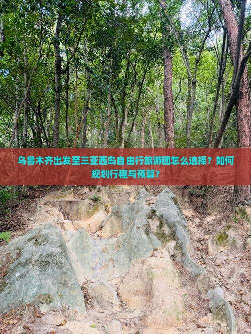 乌鲁木齐出发至三亚西岛自由行旅游团怎么选择？如何规划行程与预算？