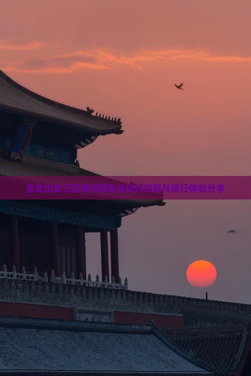 张北出发三亚南湾猴岛自由行攻略与旅行体验分享