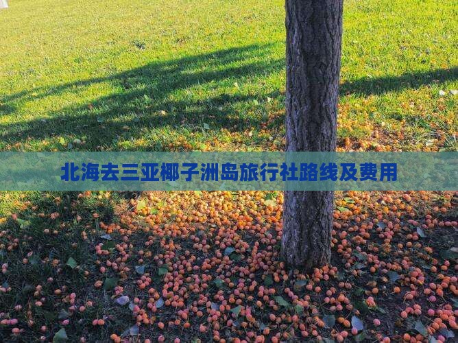 北海去三亚椰子洲岛旅行社路线及费用