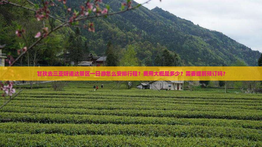 甘孜去三亚呀诺达景区一日游怎么安排行程？费用大概是多少？需要提前预订吗？