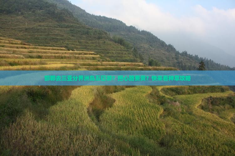 邯郸去三亚分界洲岛五日游？担心路费贵？快来看种草攻略