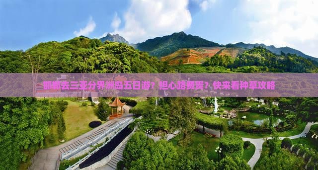 邯郸去三亚分界洲岛五日游？担心路费贵？快来看种草攻略