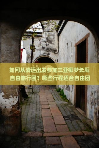 如何从清远出发参加三亚椰梦长廊自由旅行团？哪些行程适合自由团游客？三亚椰梦长廊自由团包含哪些特色活动和美食？