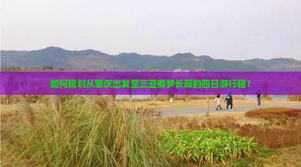 如何规划从肇庆出发至三亚椰梦长廊的四日游行程？