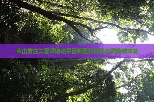 黄山前往三亚呀诺达景区哪里玩好玩必看旅游攻略