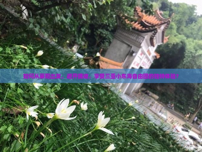 如何从襄阳出发，避开拥堵，享受三亚小东海自由团的独特体验？