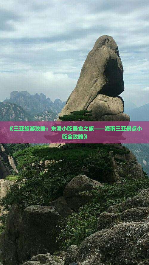 《三亚旅游攻略：东海小吃美食之旅——海南三亚景点小吃全攻略》
