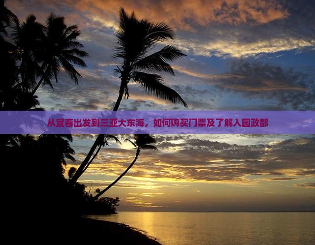 从宜春出发到三亚大东海，如何购买门票及了解入园政部