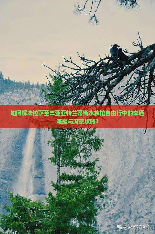 如何解决拉萨至三亚亚特兰蒂斯水族馆自由行中的交通难题与游玩攻略？