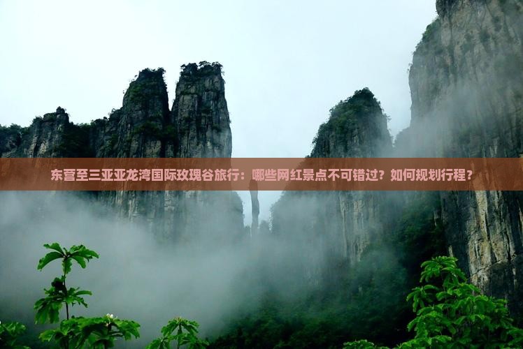 东营至三亚亚龙湾国际玫瑰谷旅行：哪些网红景点不可错过？如何规划行程？