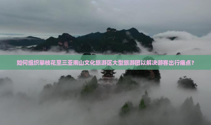 如何组织攀枝花至三亚南山文化旅游区大型旅游团以解决游客出行痛点？
