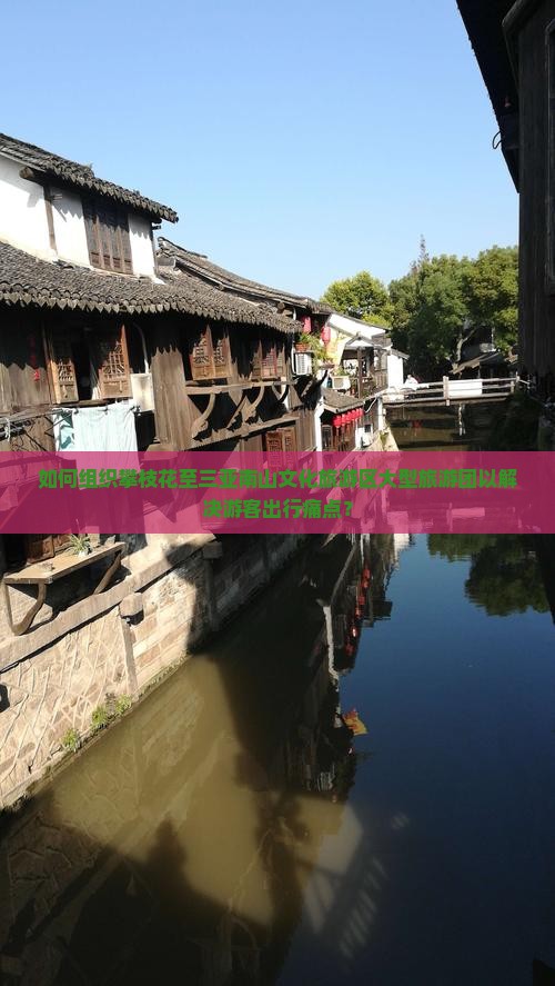 如何组织攀枝花至三亚南山文化旅游区大型旅游团以解决游客出行痛点？