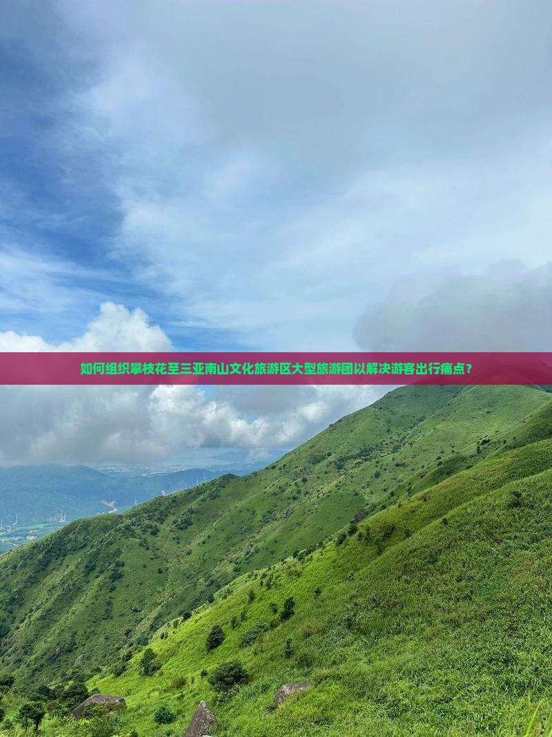 如何组织攀枝花至三亚南山文化旅游区大型旅游团以解决游客出行痛点？