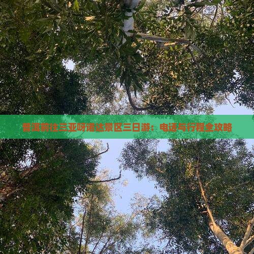 普洱前往三亚呀诺达景区三日游：电话与行程全攻略
