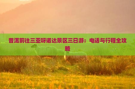 普洱前往三亚呀诺达景区三日游：电话与行程全攻略