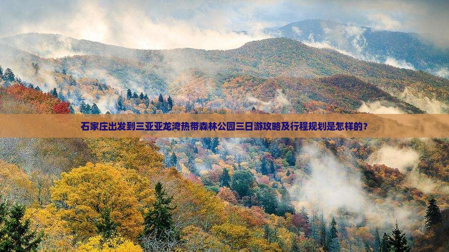石家庄出发到三亚亚龙湾热带森林公园三日游攻略及行程规划是怎样的？