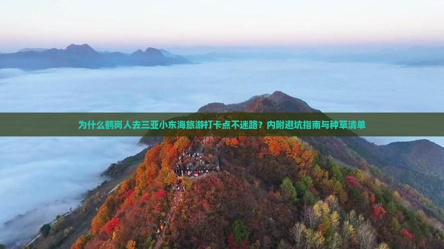 为什么鹤岗人去三亚小东海旅游打卡点不迷路？内附避坑指南与种草清单