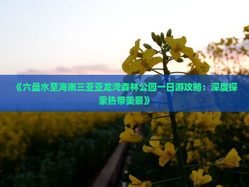 《六盘水至海南三亚亚龙湾森林公园一日游攻略：深度探索热带美景》