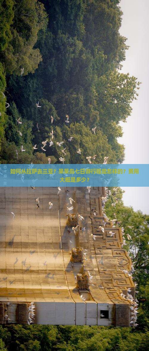 如何从拉萨去三亚？呆呆岛七日游行程是怎样的？费用大概是多少？