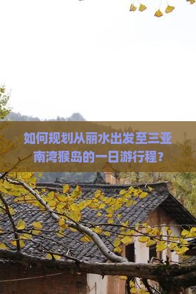如何规划从丽水出发至三亚南湾猴岛的一日游行程？