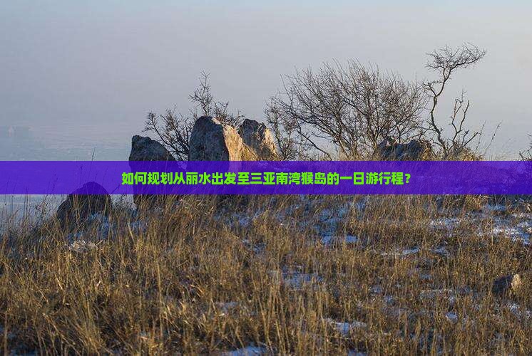 如何规划从丽水出发至三亚南湾猴岛的一日游行程？