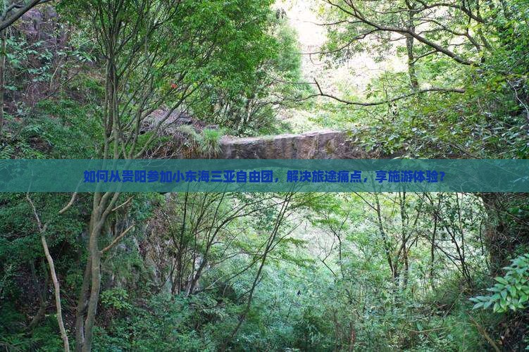 如何从贵阳参加小东海三亚自由团，解决旅途痛点，享施游体验？