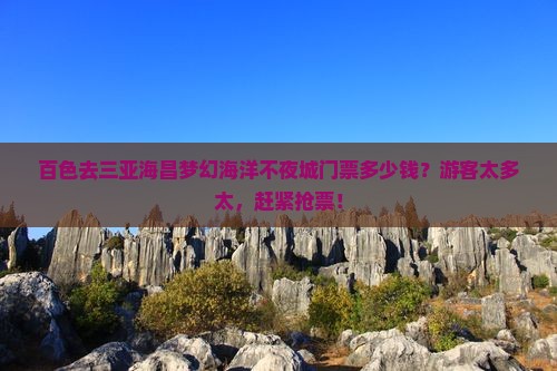 百色去三亚海昌梦幻海洋不夜城门票多少钱？游客太多太，赶紧抢票！