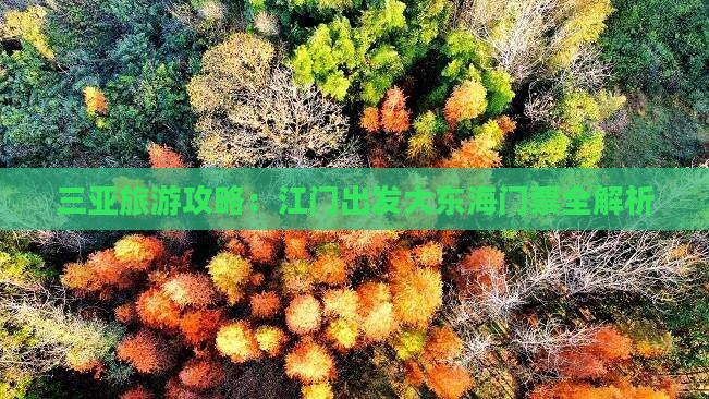 三亚旅游攻略：江门出发大东海门票全解析