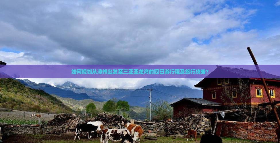 如何规划从漳州出发至三亚亚龙湾的四日游行程及旅行攻略？