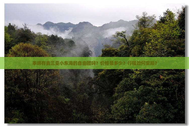 孝感有去三亚小东海的自由团吗？价格是多少？行程如何安排？