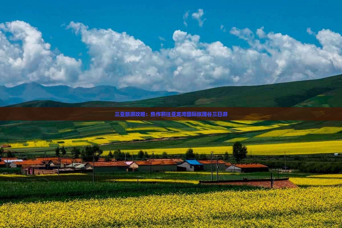 三亚旅游攻略：焦作前往亚龙湾国际玫瑰谷三日游