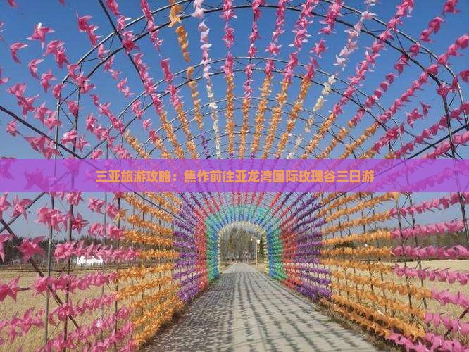 三亚旅游攻略：焦作前往亚龙湾国际玫瑰谷三日游