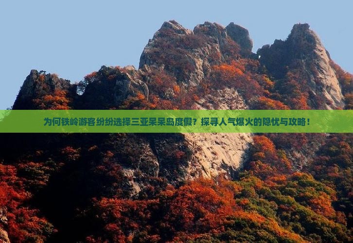 为何铁岭游客纷纷选择三亚呆呆岛度假？探寻人气爆火的隐忧与攻略！