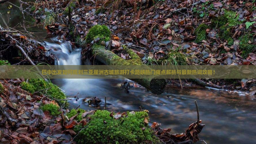 巴中出发如何规划三亚崖洲古城旅游打卡路峡热门痛点解析与最新热词攻略！