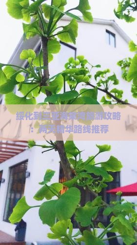 绥化到三亚海棠湾旅游攻略：两天精华路线推荐