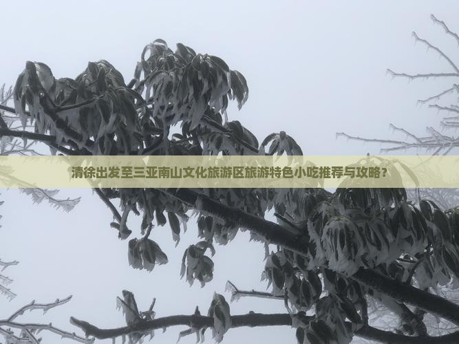 清徐出发至三亚南山文化旅游区旅游特色小吃推荐与攻略？