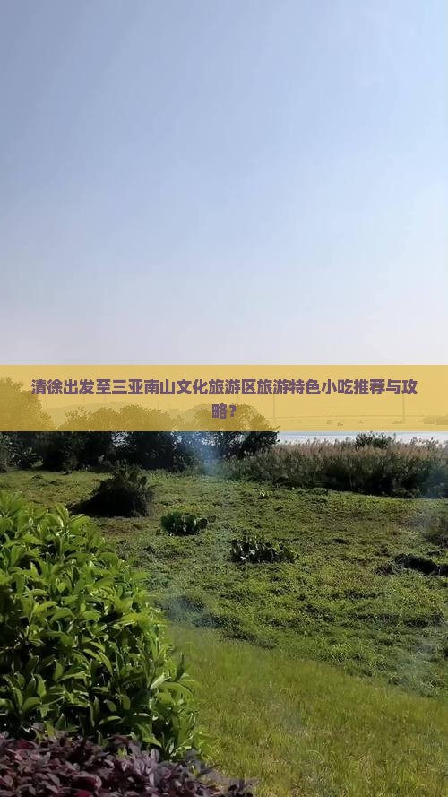 清徐出发至三亚南山文化旅游区旅游特色小吃推荐与攻略？